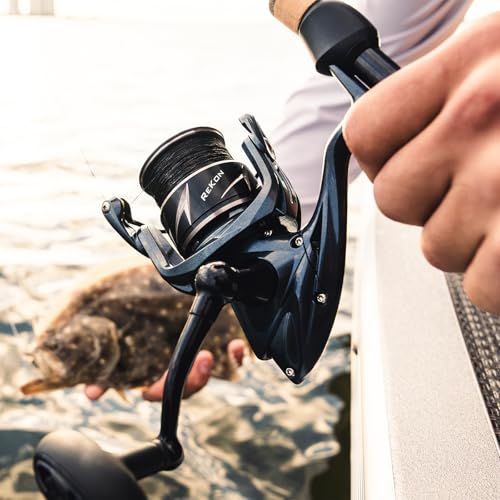 KastKing ReKon Saltwater Fishing Rod and Reel Combo, Fishing Poles & Reels Combo, Graphite Blank, Zirconia Rings, NyliTech Frame & Rotor, EVA Handle, Uplock Reel Seat - style: Spin-7'0" Medium-3000 Reel-2pcs