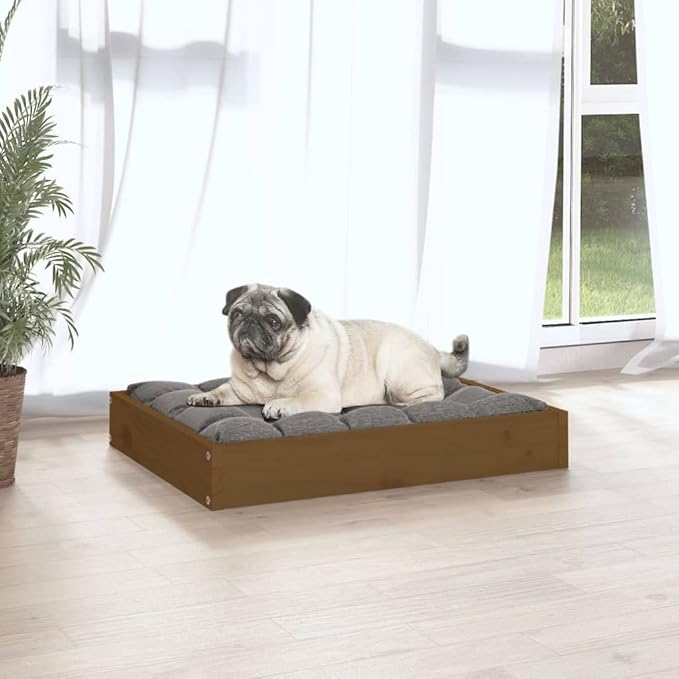 Small Dog Bed Frame, Solid Pine Wood Elevated Pet Bed for Small Breeds, Durable Rectangular Indoor Puppy Rest Station, Honey Brown Matte Finish