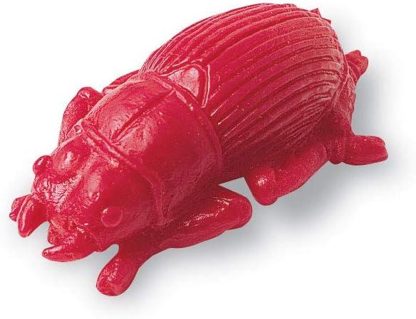 Learning Resources Backyard Bugs Counters - 72 Pieces, Ages 3+ Counting and Sorting Toys for Toddlers, Preschool Learning Toys
