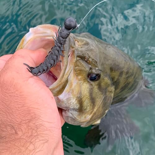 Great Lakes Finesse Juicy Hellgrammite - color: Green Pumpkin