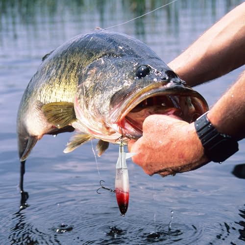 1-Pack Topwater Fishing Lures & Crankbaits Set - High-Action Popper Bass Lures with Rotating Tail, Saltwater/Freshwater Hard Baits for Trout, Pike, Catfish | Vibrating Lure Kit with Storage Box - color: red