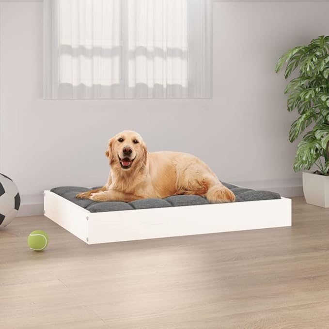 Wooden Dog Bed Frame, Modern Minimalist Small Pet Sleeping Cot, Solid Pine Wood Elevated Raised Bed for Indoor Use, White, 28.1 x 21.3 inches