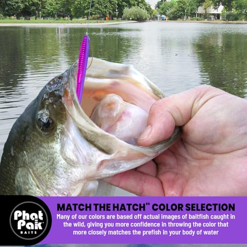 Phat Pak Baits - Slinky Worm Zoom Trick Worm Style Straight Tail Floating Worm Bass Fishing Lure 20ct 6.5" - color: Green Pumpkin Candy
