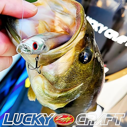 LUCKY CRAFT Gunfish 95NF Top Water Bass Fishing Lures, 4” Floating Lure with Cupped Mouth, Freshwater Trout and Bass Lures Fishing Gear, Accessories for Tackle Box - color: 474 Arari