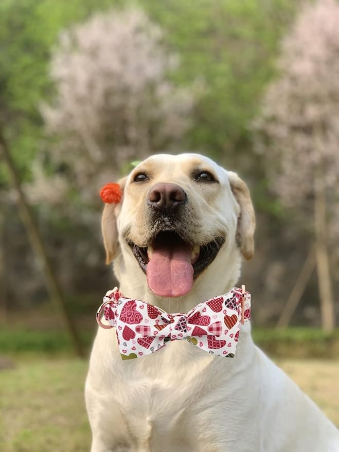 Lionheart glory Heart Dog Collar, Adjustable Dog Collar with Bowtie, Pet Gift Collar for Dog Soft Bowtie Dog Collars for Large Dogs