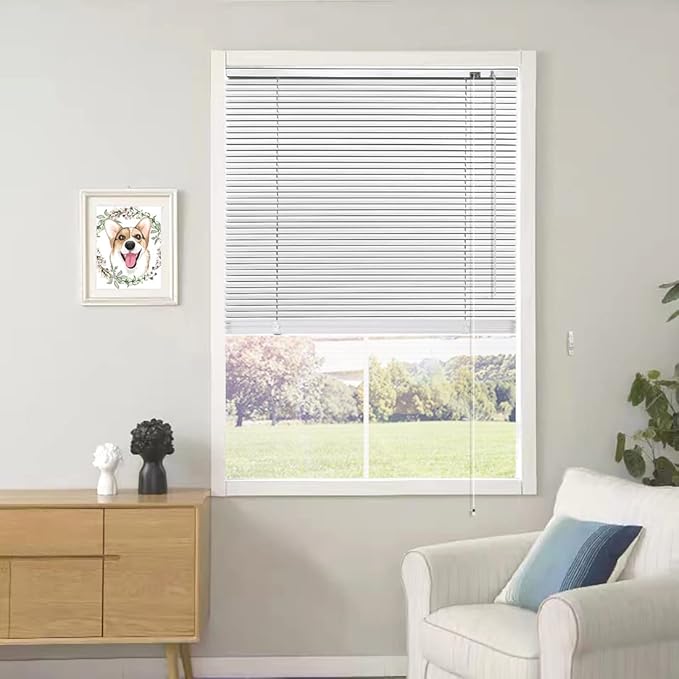 YIIBAII Mini Blinds Suitable for 38" W x 64" H Windows 1" Aluminum Horizontal