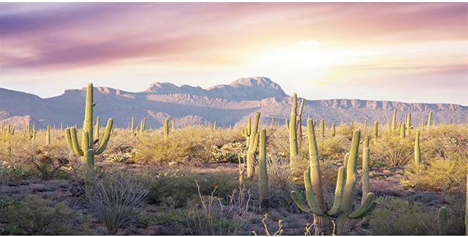 AWERT Reptile Habitat Background Blue Sky Oasis Mountain Cactus Sun and Desert Terrarium Background 24x16 inches