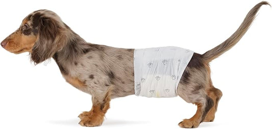 Amazon Basics Absorbent, Leakproof Male Dog Wrap Disposable Diapers, Small, Pack of 50, White