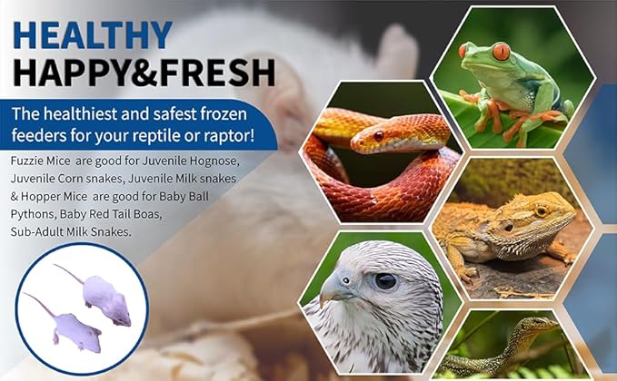 MiceDirect Frozen Mice Combo Pack 100 Fuzzies & 50 Hoppers Frozen Reptile & Snake Food (150 Count)