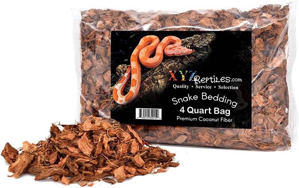 Boa Constrictor Habitat 10 Gallon Terrarium Kit