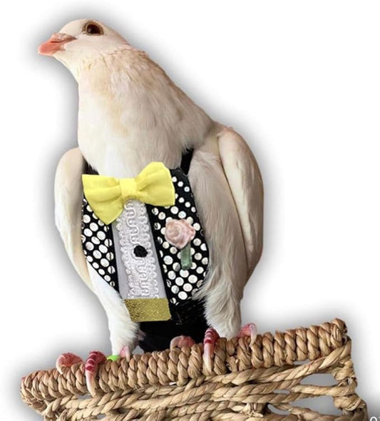 Bev's Bird Boutique Regular Flyper Adjustable Bird Diaper | Reusable, Washable Cloth | Comfort Fit for Parrot, Cockatiels, & Other Small Birds | Fashionable Avian Accessories, Retro Tux, Size 13