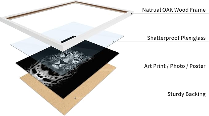 Poster Master Vintage Photograph Poster