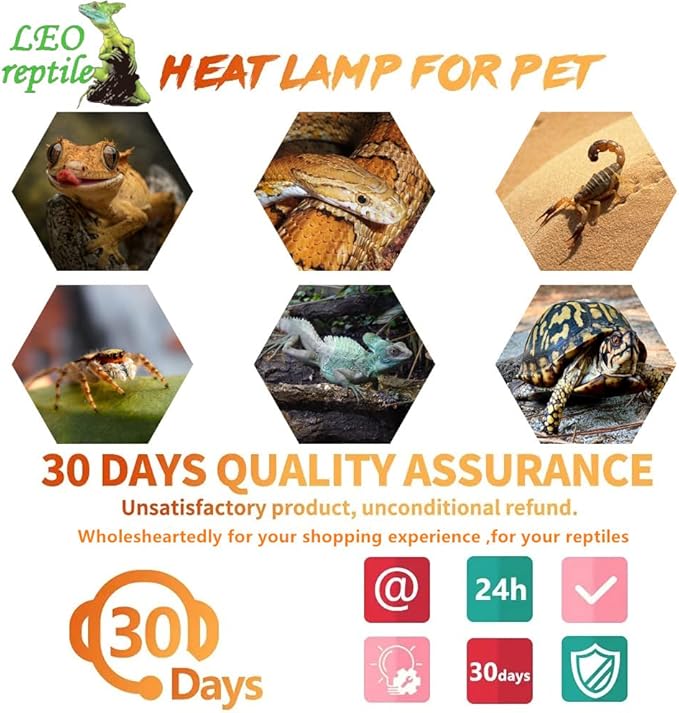 Leoterra Reptile UVB Light Bulb UVA UVB Reptile Lamp - 13W 5.0 Energy Efficient UVB Lamp for Geckos,Green Iguanas,Frog - E26 Base Dual Lighting Fixture with 8000H Long Lifespan