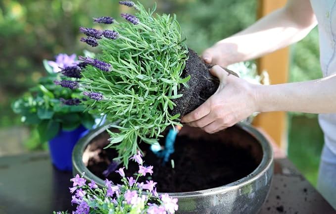 Gardenera Organic Moisture Control Potting Mix - Absorbs 33% More Water Than Basic Potting Soil - 3 Quart