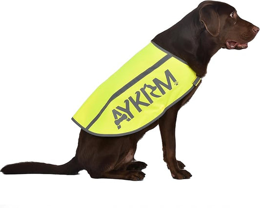 Yellow Reflective Dog Vest for Small, High Visibility Dog Safety Vest Harness with Removable Bell Keep Safe from Hunting, Training & Cars Accidents