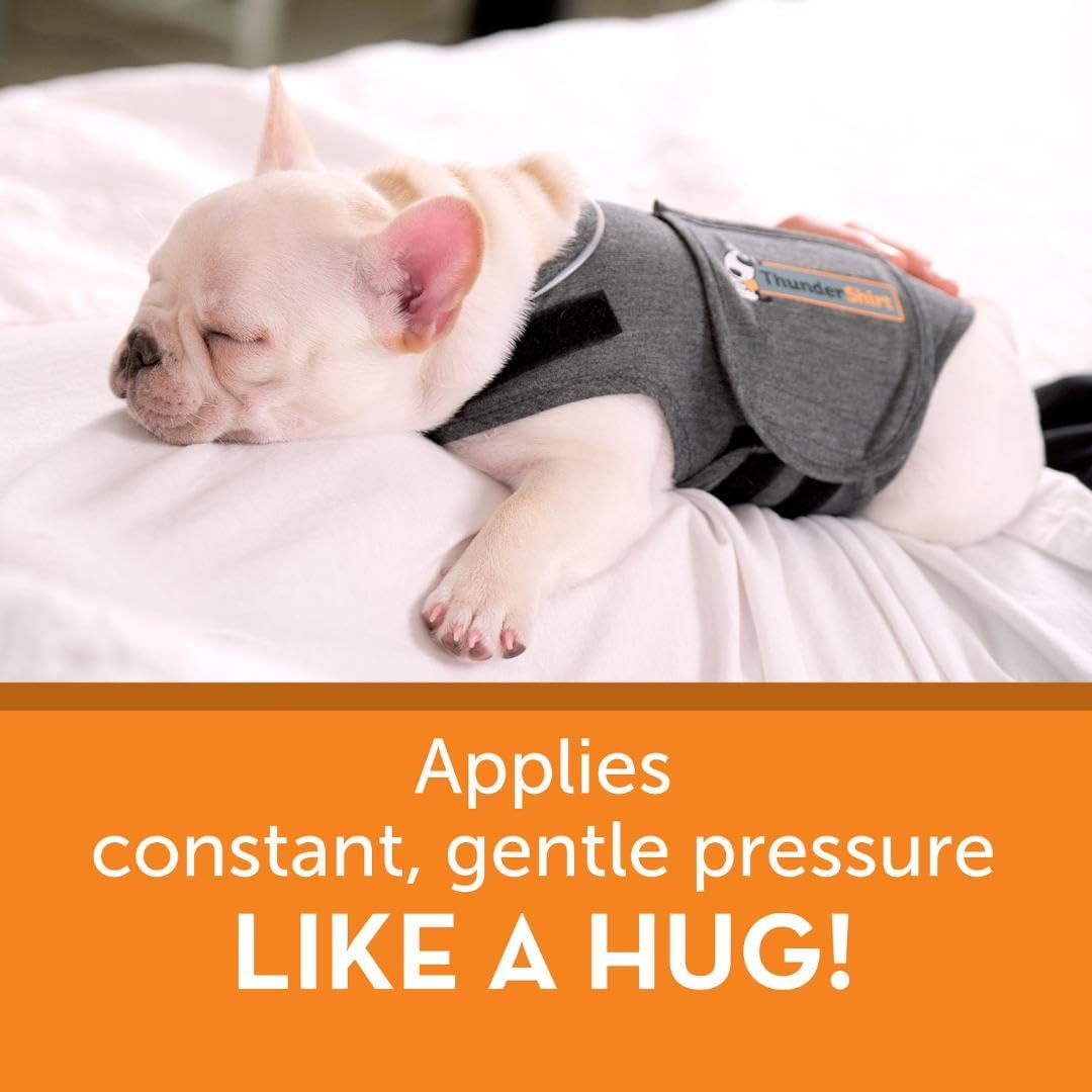 ThunderShirt for Dogs, XX Small, Heather Gray Classic - Dog Anxiety Relief Calming Vest