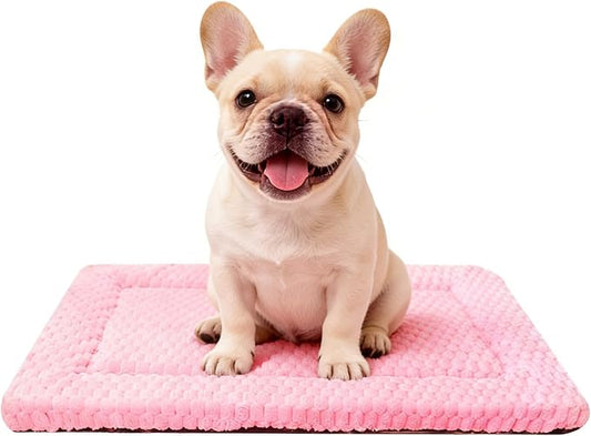 Dog Bed Mat - Soft Crate Pad for Kennel, Durable Pet Bed for Small Dogs & Cats - Comfort Support for Pet Crate, Cage, House