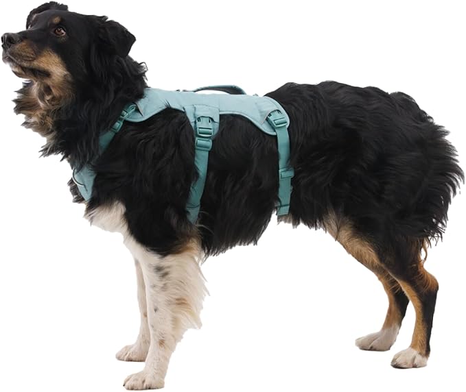 Ruffwear, Web Master, Multi-Use Support Dog Harness, Hiking and Trail Running, Service and Working, Everyday Wear, Basalt Gray, XX-Small