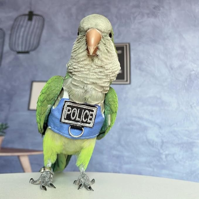 Bird Flight Harness Vest, Parrot Flight Suit with Leash, Bird Flying Clothes with Rope and Handle for Outdoor Activities (Without Leash,Crested Myna)