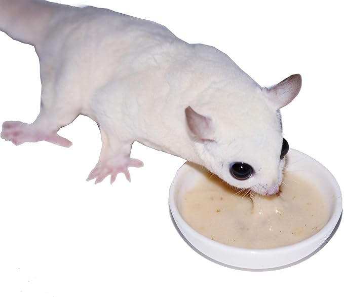 Instant-HPW 18 lb (Makes 24 lb) - All Natural Vitamin Enriched Sugar Glider Food - Healthy & Nutritious - High Protein Wombaroo - Staple Diet