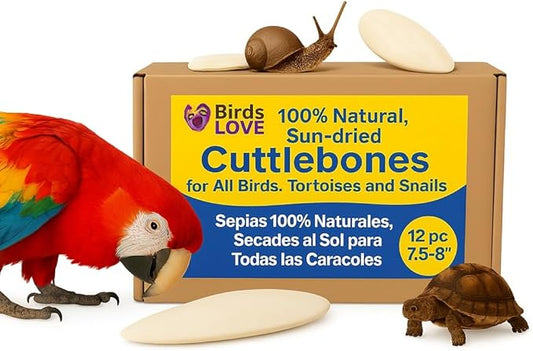 Birds LOVE Natural Cuttlebone | 100% Pure Sun-Dried Calcium Supplement for Birds, Tortoises, Snails & Crabs | Supports Beak & Shell Health | Easy to Chew | 12 Pack, Size 7.5 to 8"
