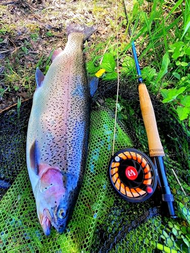 Maxcatch Extreme-X Fly Fishing Rod and Reel Combo, 3-8wt Complete Starter Fishing Outfit with Fly Box, Flies, Rod Clip Holder, Rod Case, Extra Tip Section - size: 5wt-9' 4pc Rod, 5/6wt Reel