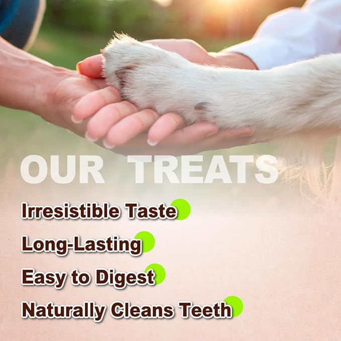 A Freschi srl Turkey Tendons for Dogs, USA-Sourced, Healthy Dog Treats, Rawhide-Free Puppy Chews, Long Lasting, All Natural, Hypoallergenic Dog Treats for Large Breeds, 10 oz Pack Ring (L)