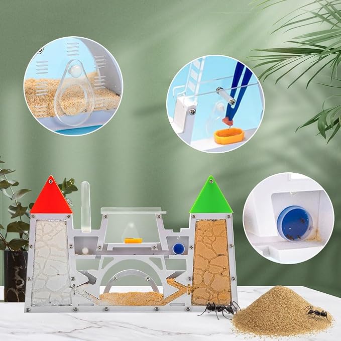 Ant Farm Kit for Kids, Sand Ant Habitat Terrarium, Ant Colony Observation | Sand Habitat, Ant Colony Observation, Watch Ants Dig Tunnels, STEM Learning, Nature Exploration, Science Toy Gift for Kids