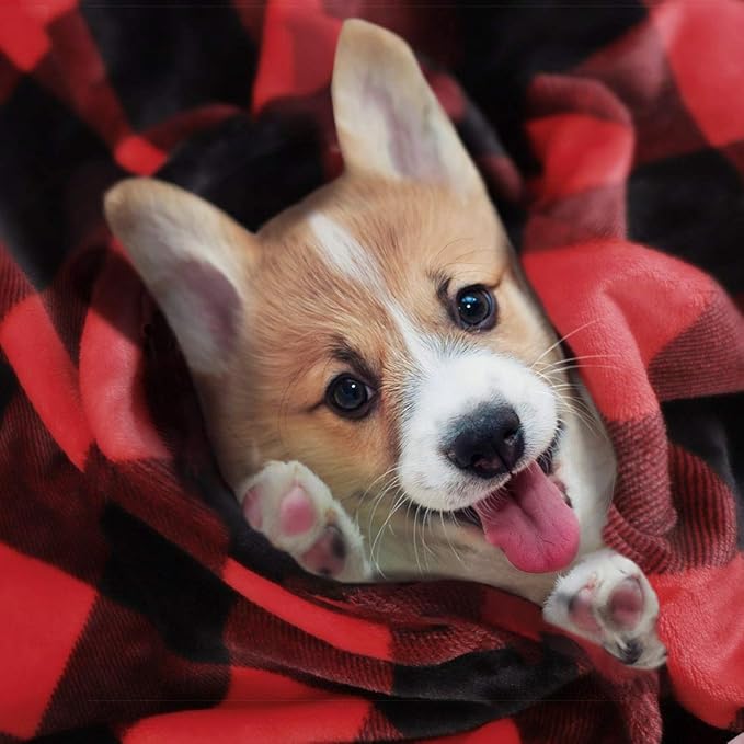 PiccoCasa Pet Dog Blanket, Flannel Fleece Puppy Blanket Plaid Plush Warm Rug Blankets for Small-Medium Dogs Cats Sleeping Mat, 30 x 40 Inches, Scarlet+Black