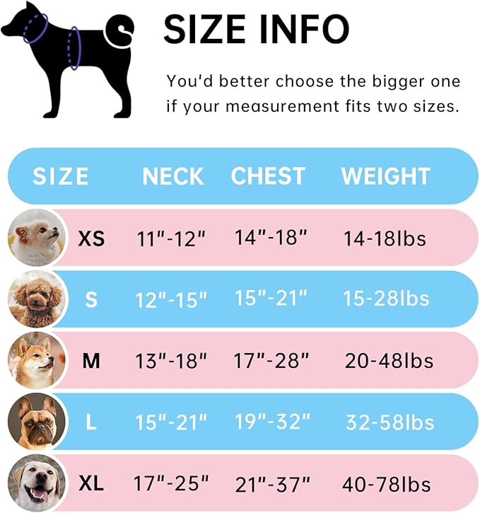 IVY&LANE No Pull Dog Harness for Large Dogs, Dog Vest Harness with Leash, Safety Belt and Storage Strap, Fully Adjustable Harness, 360° Reflective Strip, Soft Handle (Blue, L)