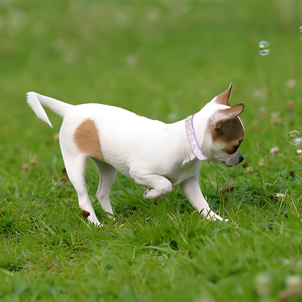 Rhinestone Dog Collar for Small Dogs, Bling Diamond Fancy Crystal Glitter Pretty Jewel Pet Puppy Collars for XXS XS Small Medium Large Breed Girl Dogs Female Cats Kitten, Hot Pink XXSmall