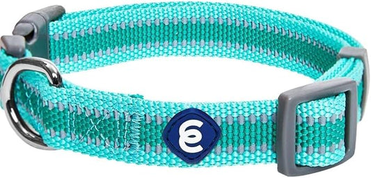 Blueberry Pet Essentials Reflective Adjustable Safety Nylon Dog Collars Medium Size | Reflective Minty Green Dog Collar for Girl and Boy Dogs