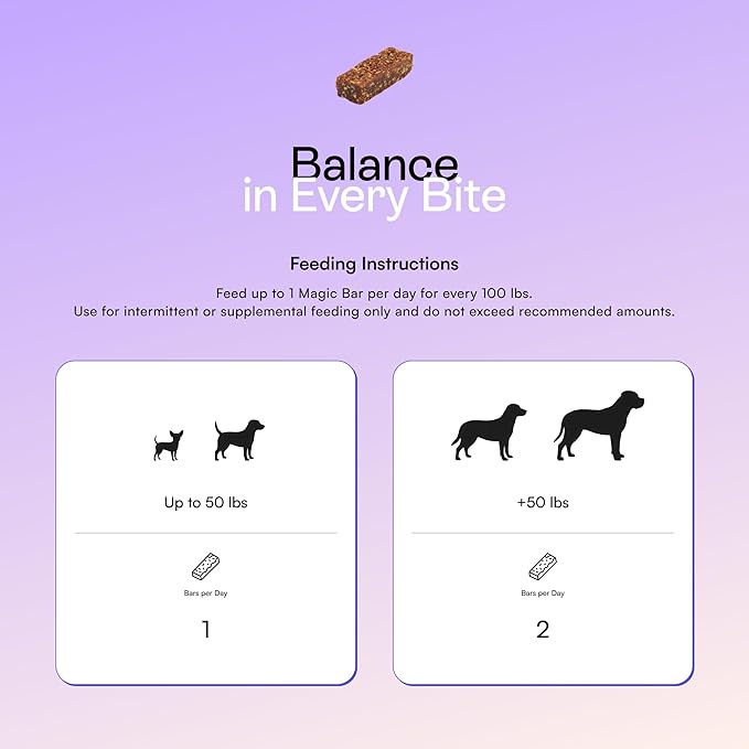 Pawco Magic Bar for Dogs – Supports Energy, Digestion & Overall Wellness – Soft, High-Protein Peanut Butter Bars with Pumpkin & Chicory Root – Pack of 8