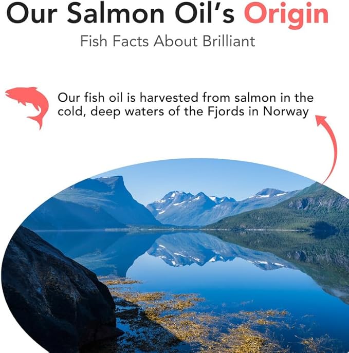 Salmon Oil for Dogs - Healthy Skin & Coat, All Natural Norwegian Fish Oil Food Supplement for Pets, Omega 3 EPA DHA, Ideal for Shedding, Allergy, Itching, Dry Skin, Joint & Bone Health - 16.9 Oz