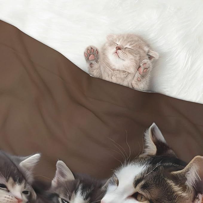 Cat Family Print Soft Plush Pet Blanket, Washable Dog Blanket, Cat Fleece Throw, Puppy Bed Crate Mat & Sofa Couch Protector - Small