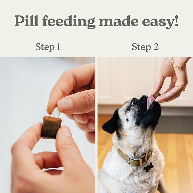 Earthly Pill Buddy Naturals - Honey Recipe Pill Hiding Treats for Dogs - Make A Perfect Pill Concealing Pocket Or Pouch for Any Size Medication - 90 Servings