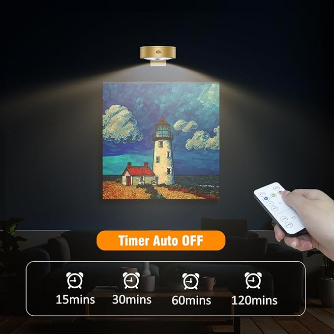 3Pack Picture Light Battery Operated Painting Lights