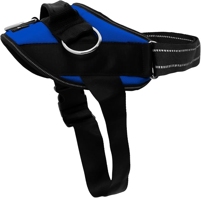 ShawnCo Essential Dog Harness, No-Pull Pet Vest with 3 Leash Clips, No Choke, Reflective, Adjustable and Padded, for Easy Walking and Training for Small, Medium and Large Dogs (Electric Blue,S)