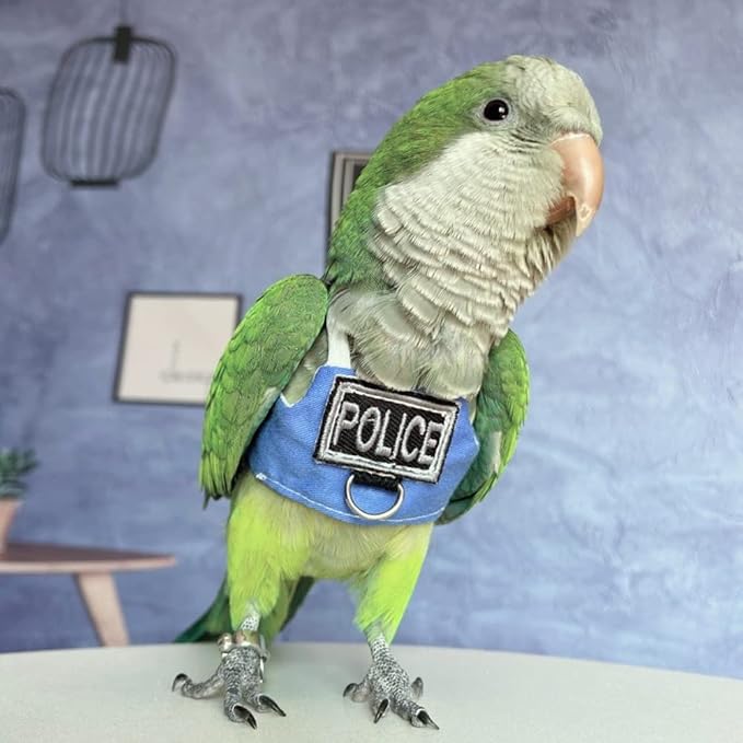 Bird Flight Harness Vest, Parrot Flight Suit with Leash, Bird Flying Clothes with Rope and Handle for Outdoor Activities (with Leash,Senegal)