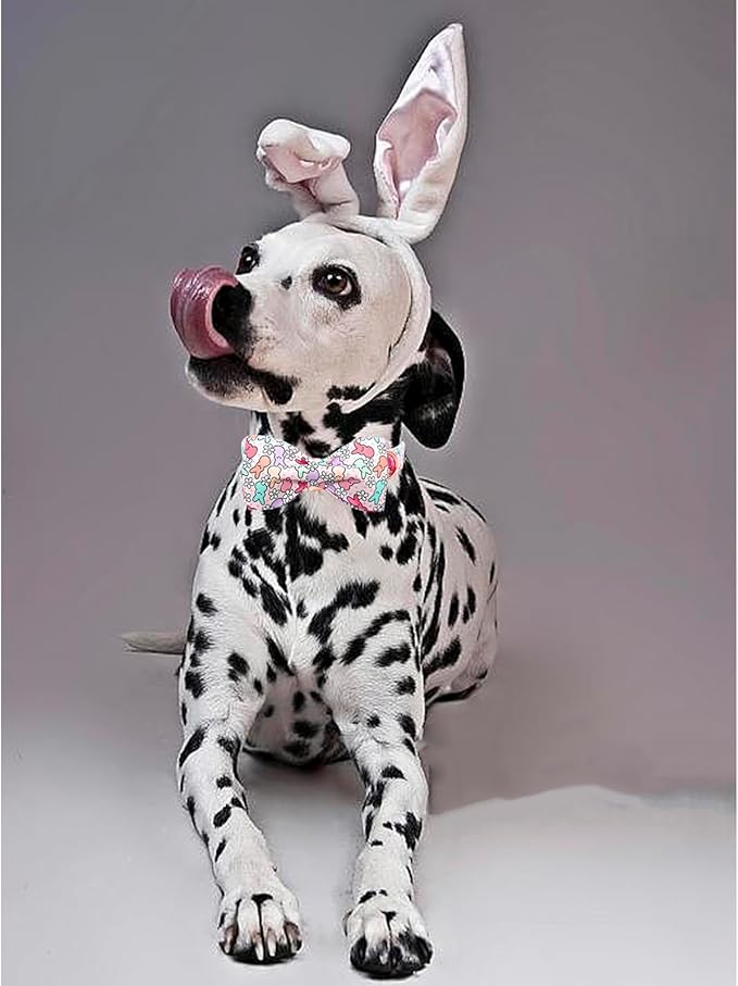 Lionheart Glory X-Small Dog & Rabbit Collar with Bowtie - Easter & Spring Colorful Collar