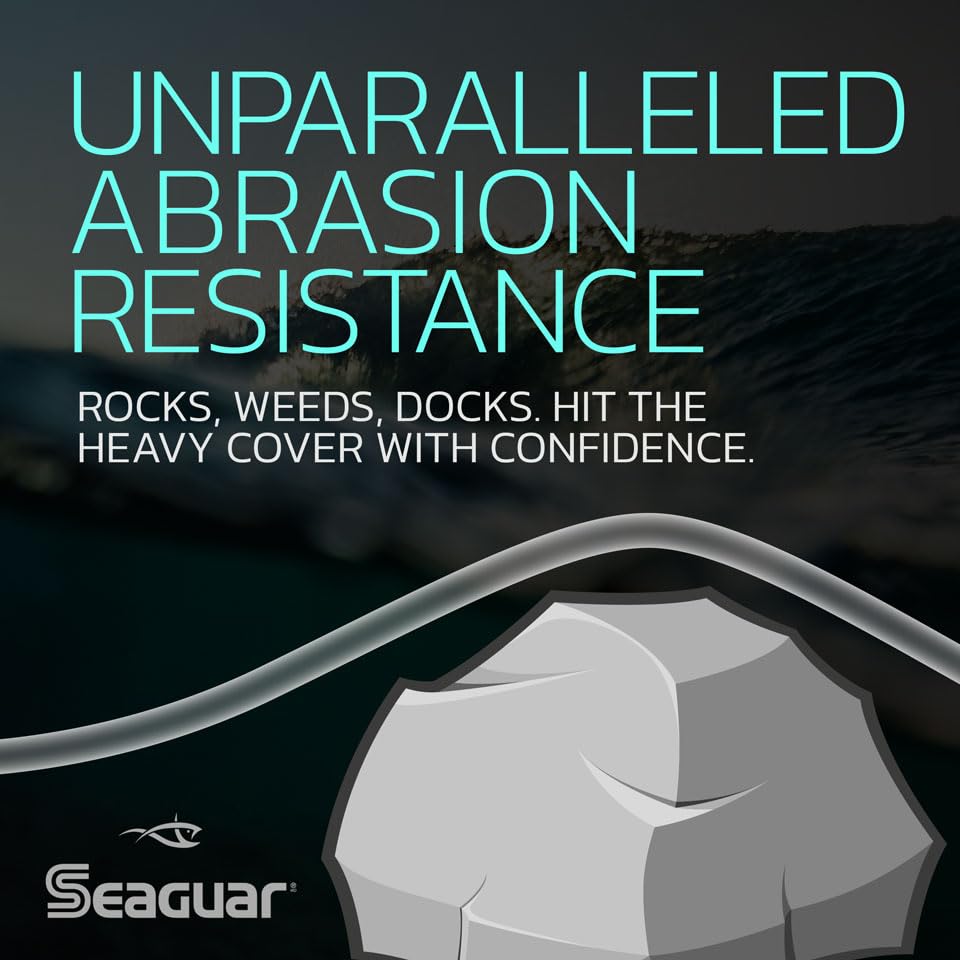 Seaguar STS Trout/Steelhead Freshwater 100% Fluorocarbon Fishing Line Leader, Multiple Sizes - size: 12lbs/100yds