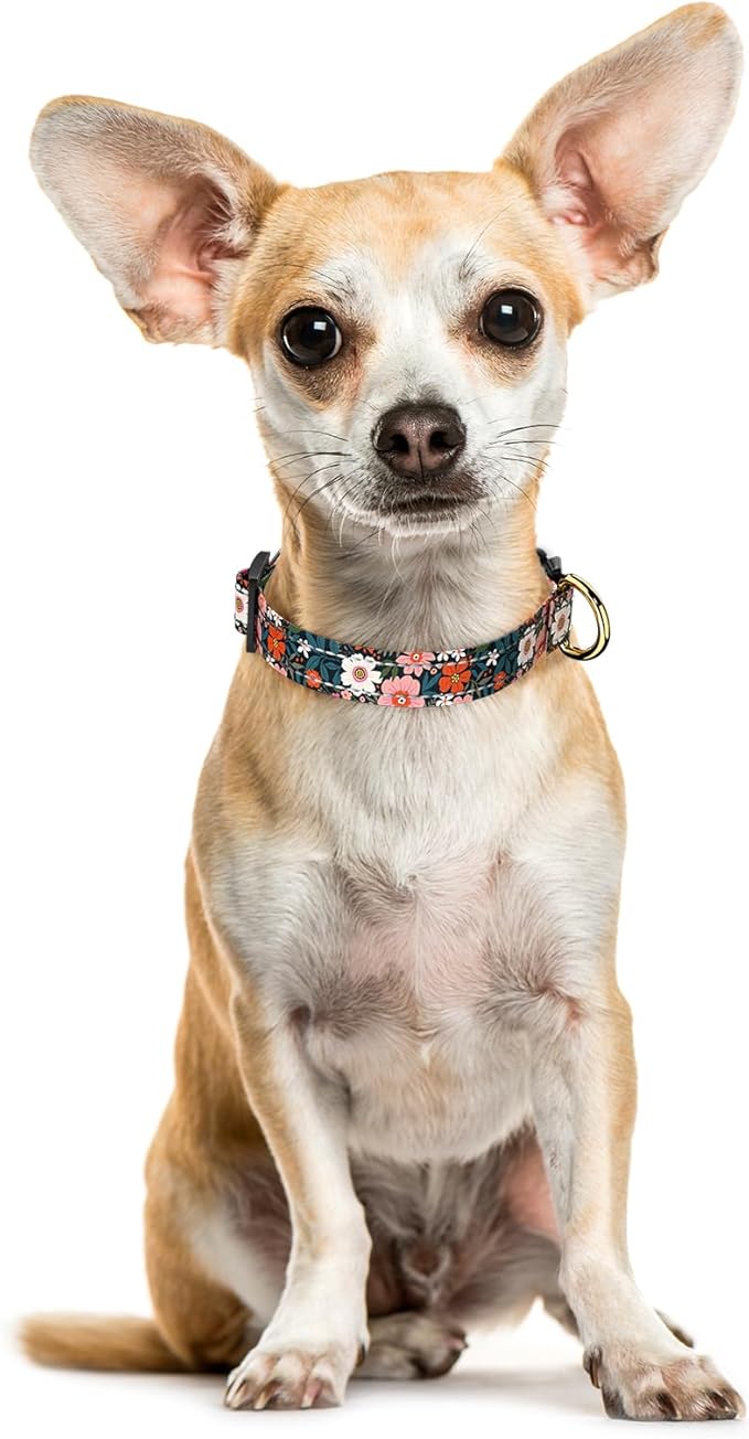 Reflective Dog Collar for Extra Small Dogs, Cute Flower Theme Adjustable Heavy-Duty Nylon Puppy Collar for Boy and Girl Female, Soft Pet Accessories with Quick Release Buckle, Elegant Floral