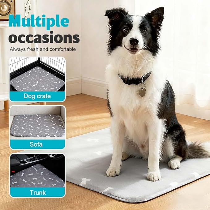 Puppy Pads for Dogs, 2026 New Washable Puppy Pads with Pheromones, Pee Pads for Dogs & Cats, Durable Leak-Proof & Anti-Slip Pet Training Pads for Home & Travel, Reusable (Red, 31.5" x 35.4")