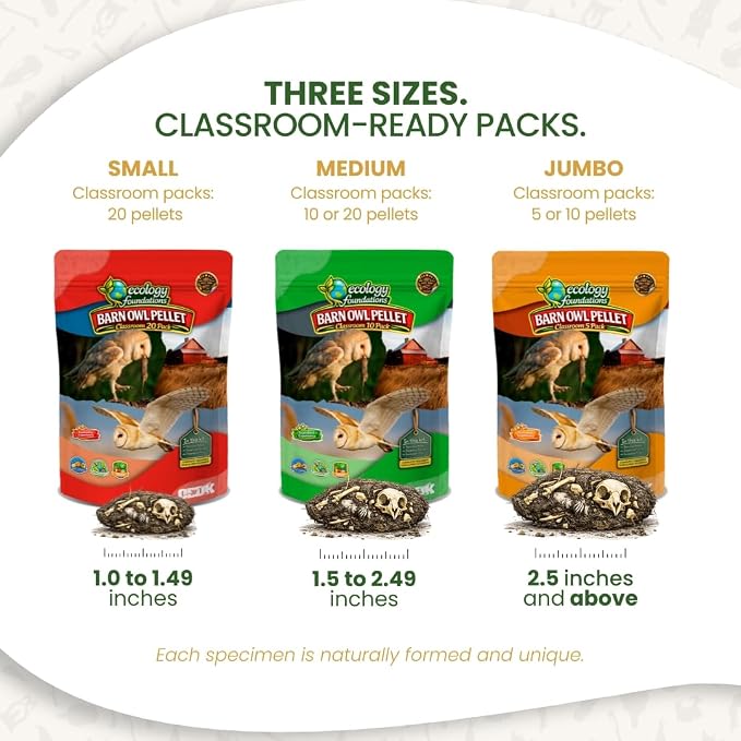 Barn Owl Pellets for Dissection for Classrooms, Small 20-Pack Kit by OBDK | Forceps, picks and instructor guide included, life science and ecology, bone sorting chart, hands-on lab activity