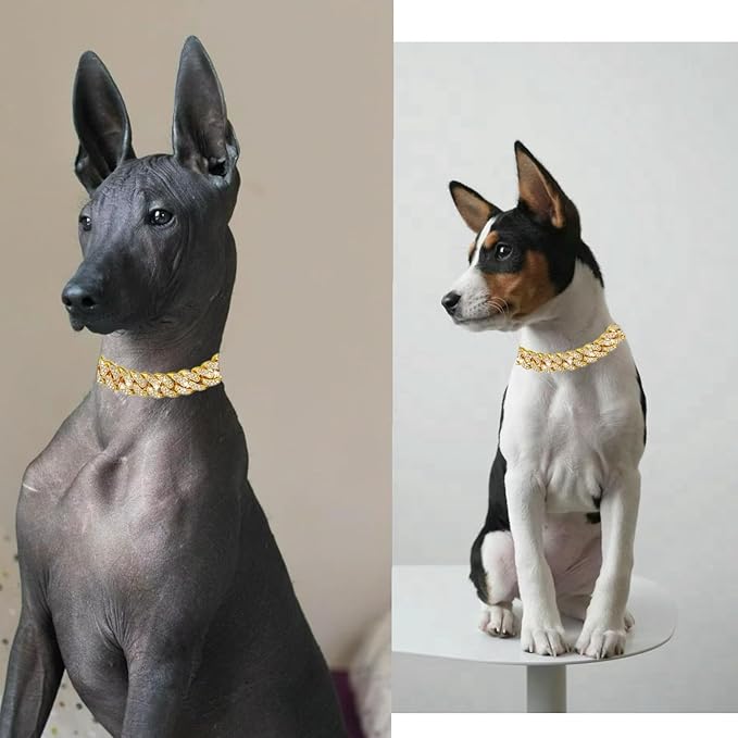 Diamond Cuban Style Dog Chain Collar Bling Gold Walking Necklace with Safety Lock Pet Jewelry for Small Medium Large Dogs Cats(Glod 10inch)