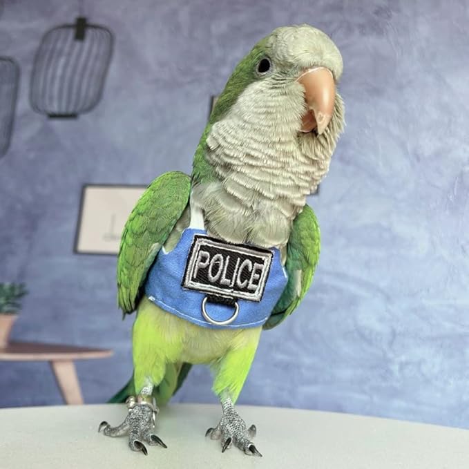 Bird Flight Harness Vest, Parrot Flight Suit with Leash, Bird Flying Clothes with Rope and Handle for Outdoor Activities (Without Leash,Budgie)