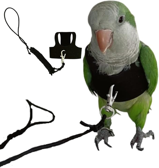 Bird Flight Harness Vest, Parrot Flight Suit with Leash for Parakeets Cockatiels Conures Budgies, Bird Flying Clothes with Rope and Handle for Outdoor Activities Training, Anti Bite (X-Small)