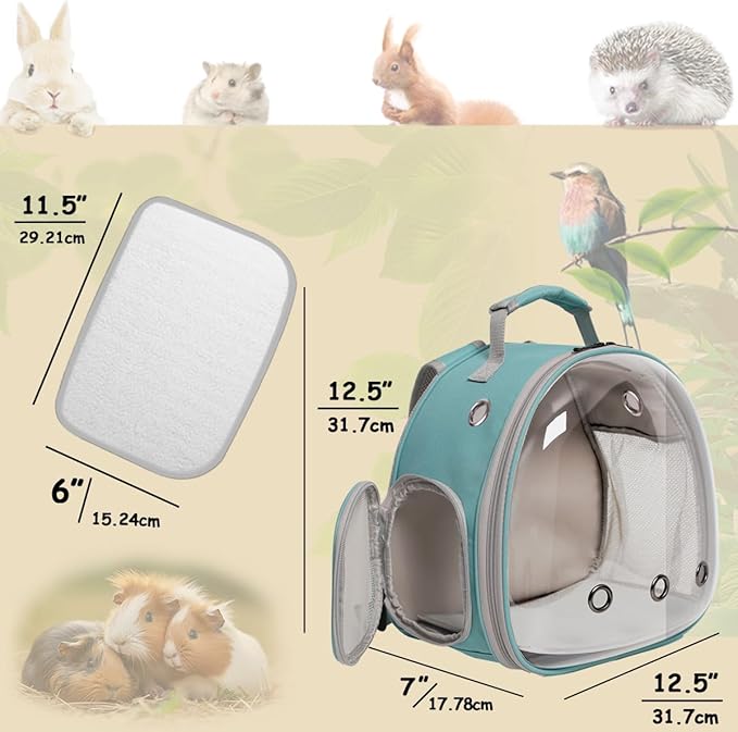 Small Bird Travel Backpack Carrier Cage, Backpack to Transport Backpack Carrier with Clamp Cups Stand Perch for Parakeet Cockatiel Budgies Vet Carry Book Bag Green