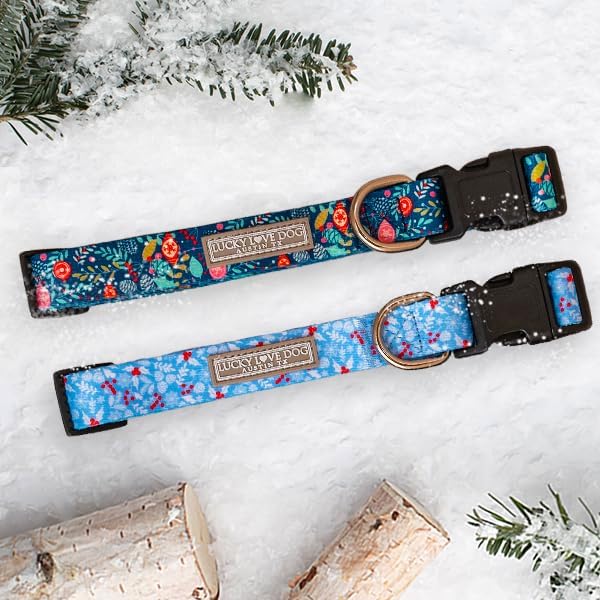 Lucky Love Dog - Adjustable Collar and Leash Set with Easy Click Buckle for Small Dogs, Durable, & Comfortable Collar for Male & Female Dogs, Puppies & Adult - Sweet Holiday Combo, XS