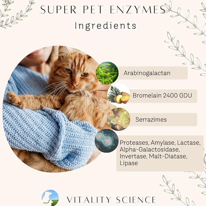 Gastro Prime Combo for Cats | Supports Normal GI Function and Improves Nutrient Assimilation